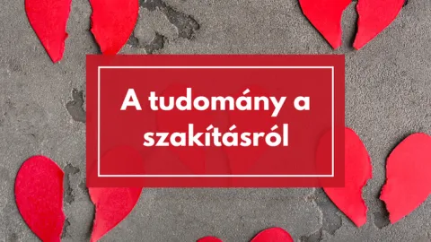 Hogyan szakítsunk? Hogyan dolgozzuk fel? Mit mond a tudomány a szakításról?