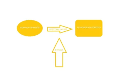 „Segítség, még mindig nem vagyok jól!”