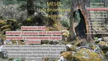 Mesés női önismereti csoport indul