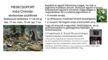Mesecsoport Cinkotán