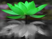8 hetes mindfulness program - Szorongás, stressz, depreszió csökkentésére és az elfogadás, önegyüttérzés fejlesztésére