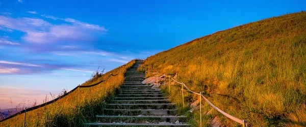 Amikor sosem elég – A teljesítménykényszer ára