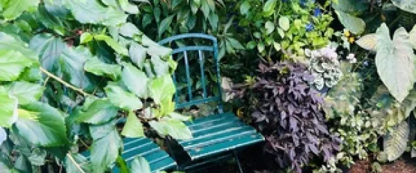 Őszinteség egy a kapcsolatban